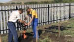 Инициатива — в действии