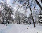 Куклёнок