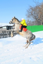 Полюбите Алластеру!
