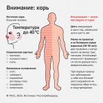 Нажмите для просмотра в полном размере...