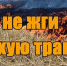 Не жги сухую траву! - Газета Бугурусланская правда