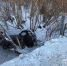 В Бугурусланском районе погиб 57-летний водитель автомобиля Toyota - Газета Бугурусланская правда