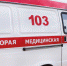 В Бугуруслане двухлетнего ребенка покусала домашняя собака - Газета Бугурусланская правда
