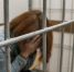 Забросила воспитание: на многодетную мать из Бугуруслана завели уголовное дело - Газета Бугурусланская правда