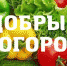 Бугурусланцев приглашают сажать огороды малообеспеченным землякам - Газета Бугурусланская правда