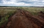 В Бугурусланском районе гудрон разлился на площади более 800 кв. м