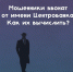JPG Файл - ОМВД "Бугурусланский" 
