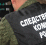 Факт нападения собаки на несовершеннолетнего в Бугуруслане на контроле главы СК России - Газета Бугурусланская правда