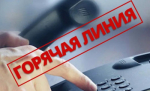 Проведение горячей линии