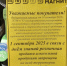 В Оренбургской области 1 сентября запрещена розничная продажа алкоголя - Газета Бугурусланская правда