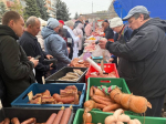 В Бугуруслане пройдет сельскохозяйственная ярмарка