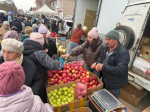 В Бугуруслане пройдет сельскохозяйственная ярмарка