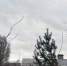 В Бугуруслане 15 ноября ожидается пасмурная погода - Газета Бугурусланская правда