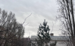 В Бугуруслане 15 ноября ожидается пасмурная погода