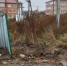 В Центре управления регионом рассказали об обращениях жителей Бугуруслана - Газета Бугурусланская правда