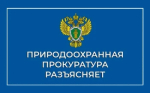 Требования, предъявляемые к временному хранению (накоплению) отходов на территории предприятия