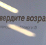 Оренбуржцы могут через «MAX» подтверждать возраст в магазине - Газета Бугурусланская правда