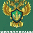 Оренбургской природоохранной межрайонной прокуратурой в 2025 году выявлено свыше 500 нарушений экологического законодательства на территории Центрального и Западного Оренбуржья - Бугурусланский район